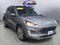 2021 Ford Escape SEL Hybrid